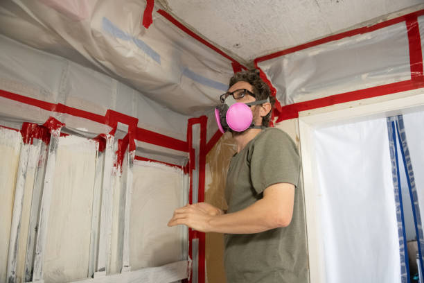 Best Water Damage & Mold Remediation  in Stevensville, MI