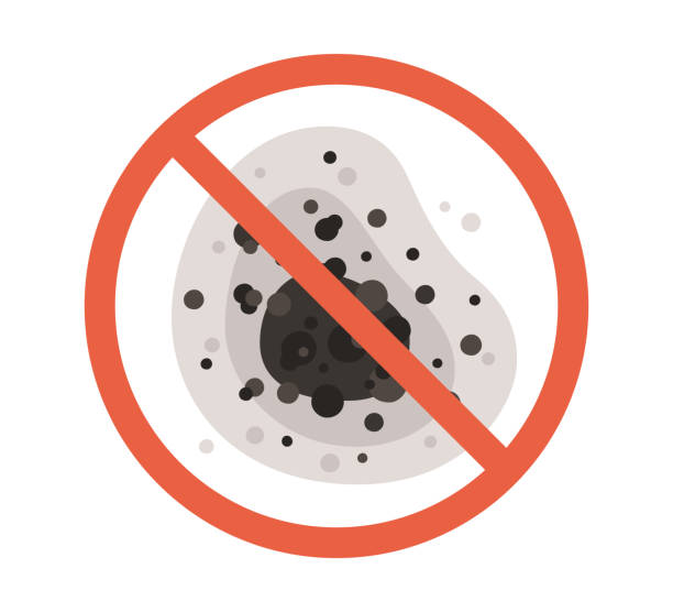 Best Air Quality Testing for Mold Spores  in Stevensville, MI