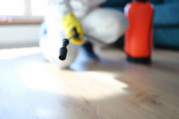 Best Emergency Mold Remediation  in Stevensville, MI