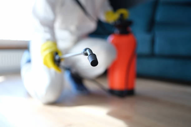 Asbestos and Lead Testing During Mold Inspection in Stevensville, MI