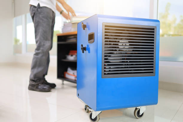 Best Mold Prevention Services  in Stevensville, MI